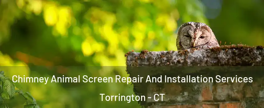  Chimney Animal Screen Repair And Installation Services Torrington - CT