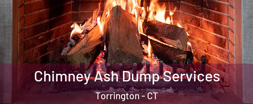  Chimney Ash Dump Services Torrington - CT