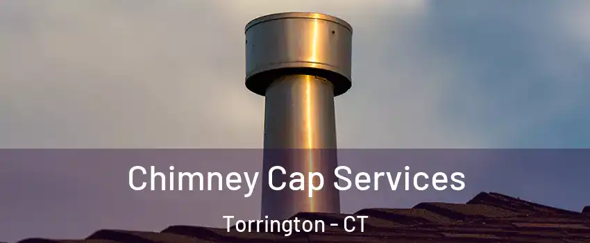  Chimney Cap Services Torrington - CT