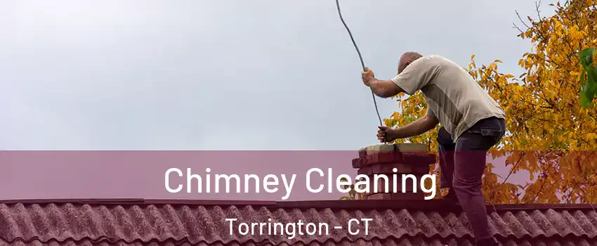  Chimney Cleaning Torrington - CT