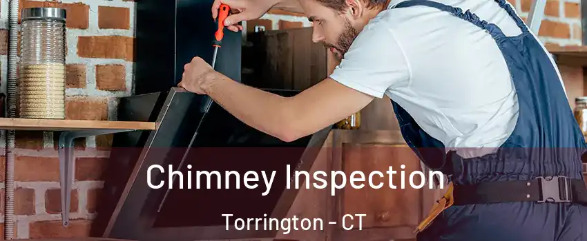 Chimney Inspection Torrington - CT