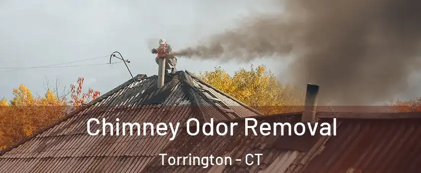  Chimney Odor Removal Torrington - CT