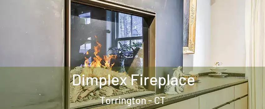  Dimplex Fireplace Torrington - CT
