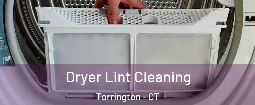  Dryer Lint Cleaning Torrington - CT