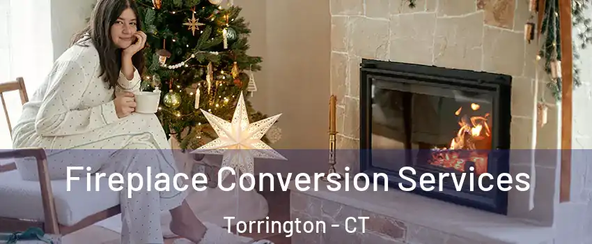  Fireplace Conversion Services Torrington - CT