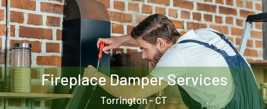  Fireplace Damper Services Torrington - CT