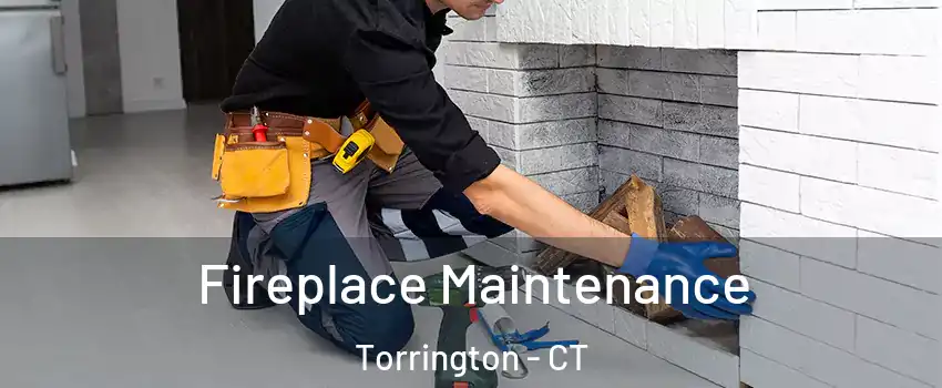  Fireplace Maintenance Torrington - CT
