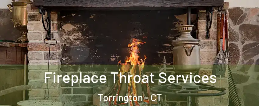  Fireplace Throat Services Torrington - CT
