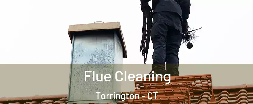  Flue Cleaning Torrington - CT