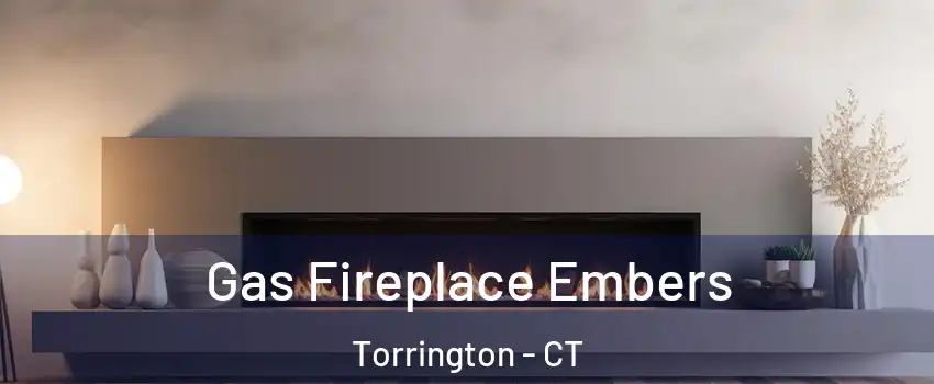  Gas Fireplace Embers Torrington - CT
