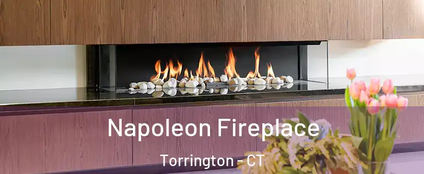  Napoleon Fireplace Torrington - CT
