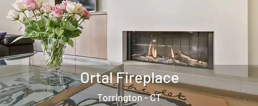  Ortal Fireplace Torrington - CT