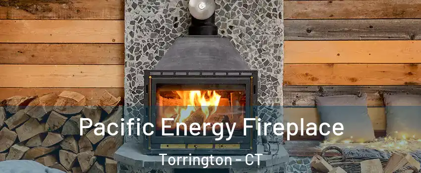  Pacific Energy Fireplace Torrington - CT